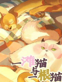 一滩猫与一根猫