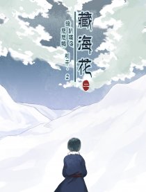藏海花二——引子2